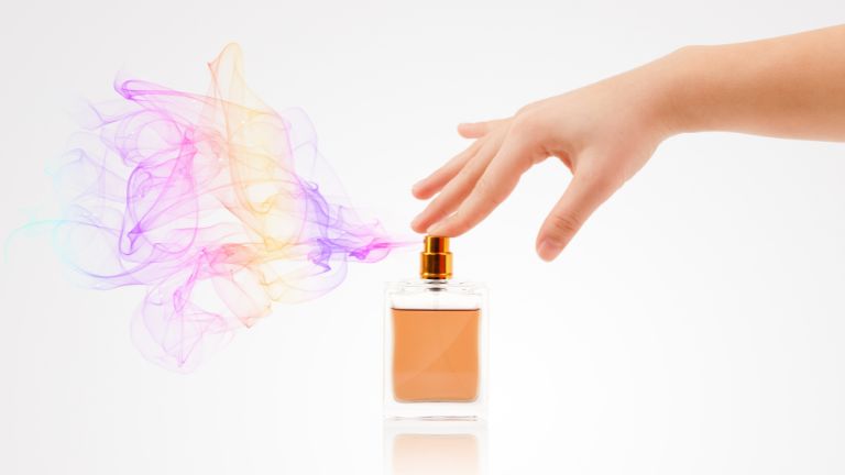 Perfumaria Feminina: Perfume, Fragrâncias e mais Dia