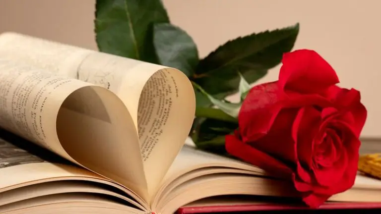 Livros de Romance