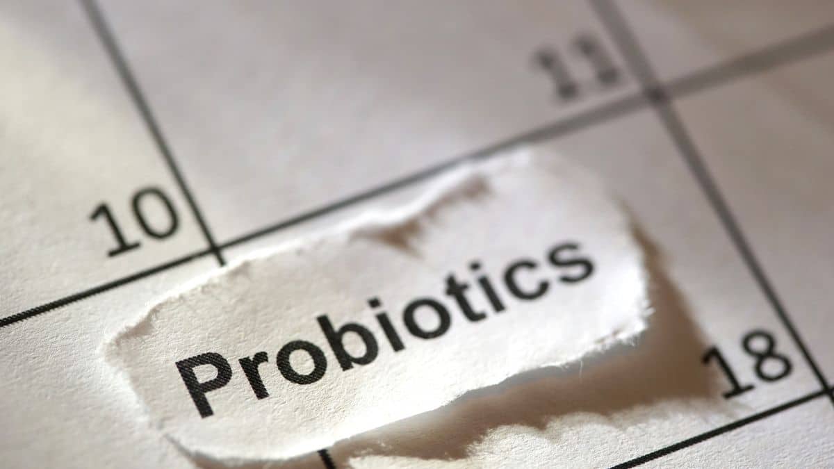 probióticos