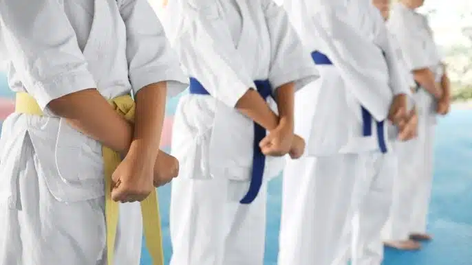 Kimono no Karatê