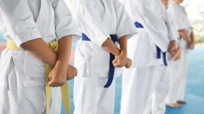 Kimono no Karatê
